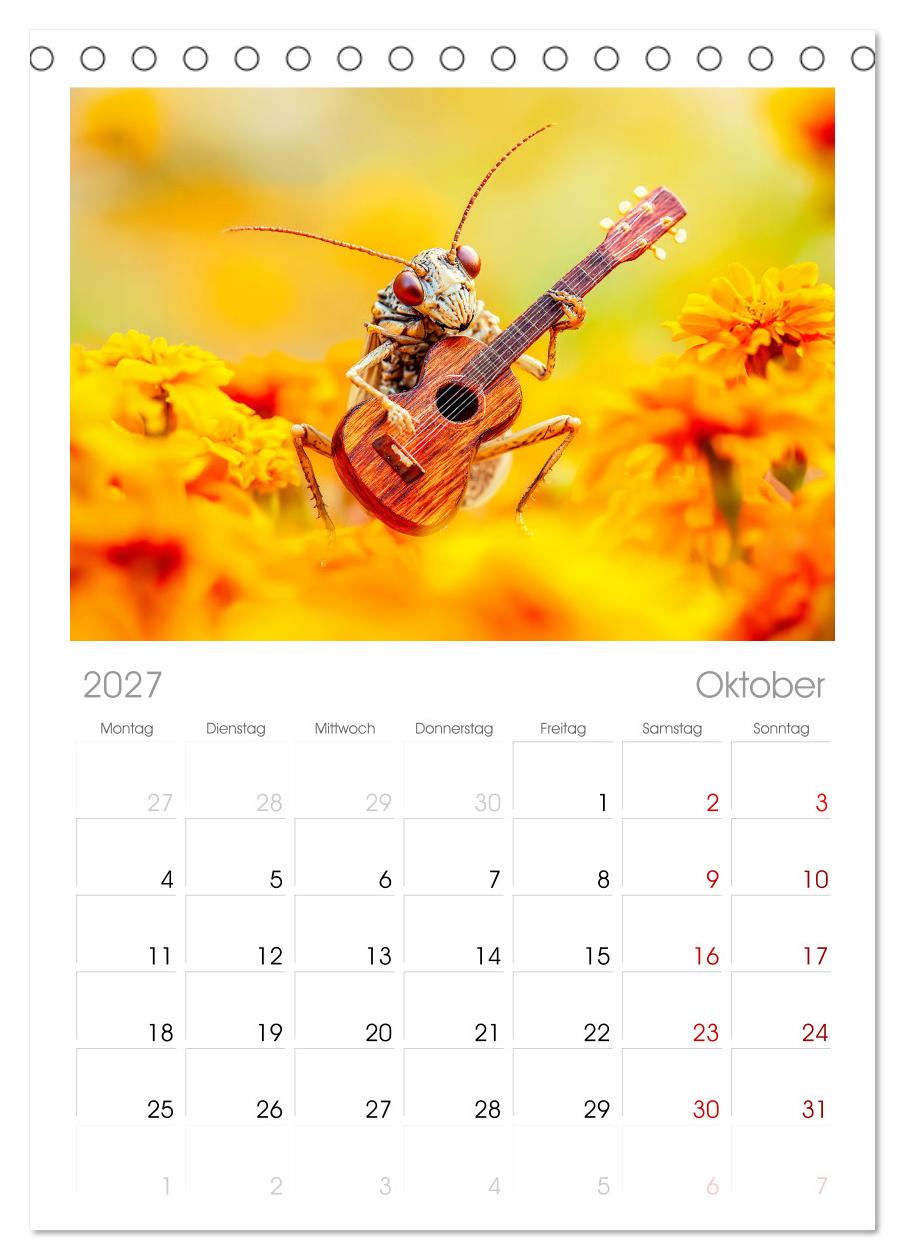 Konzert der Natur - Insekten spielen Musikinstrumente