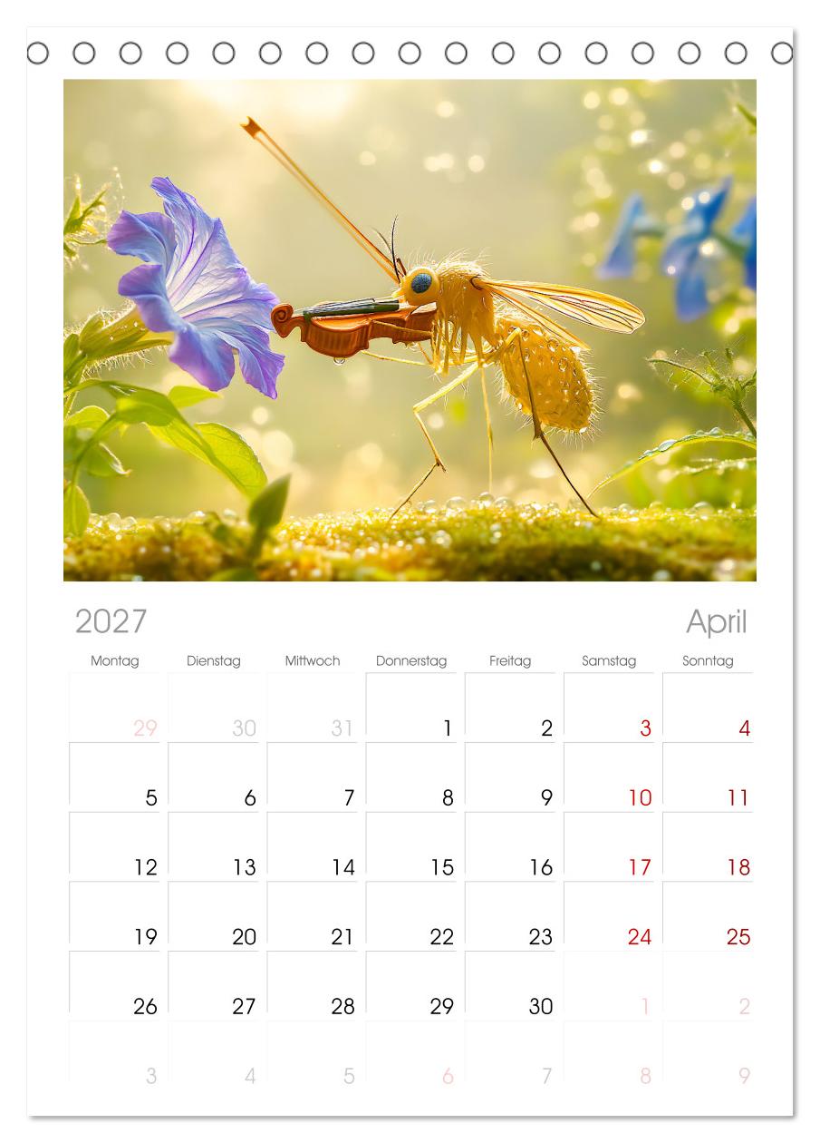 Konzert der Natur - Insekten spielen Musikinstrumente