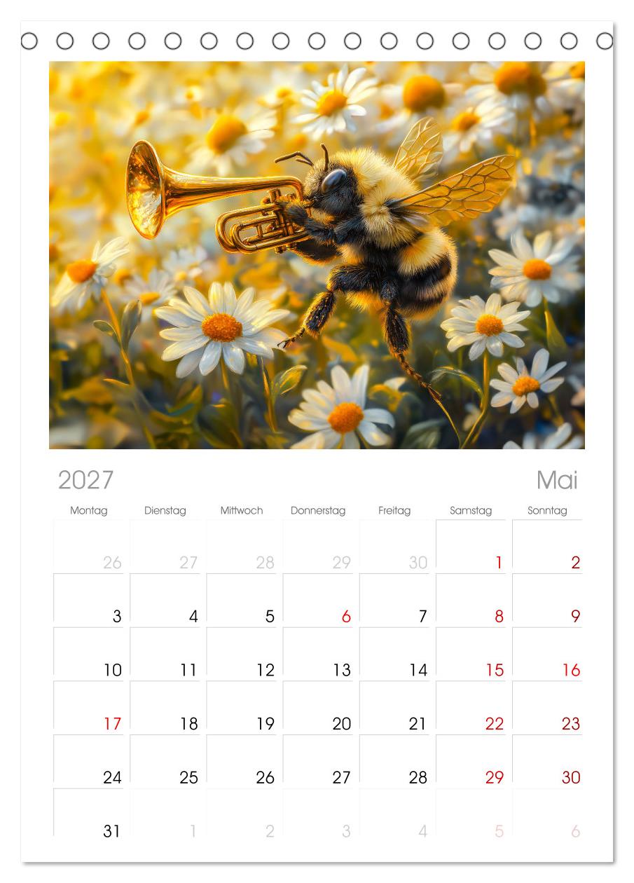 Konzert der Natur - Insekten spielen Musikinstrumente