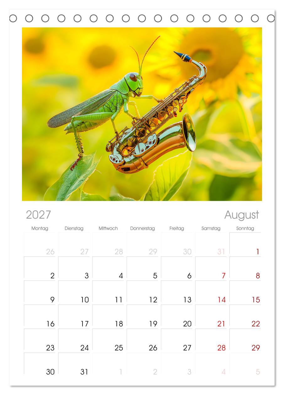 Konzert der Natur - Insekten spielen Musikinstrumente