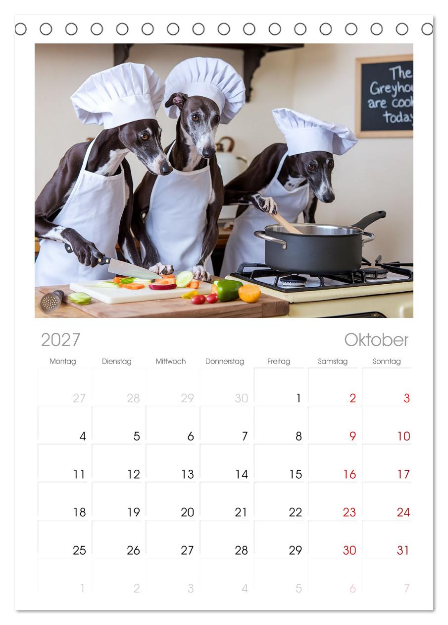 Funny Greyhounds - Windhunde mal anders