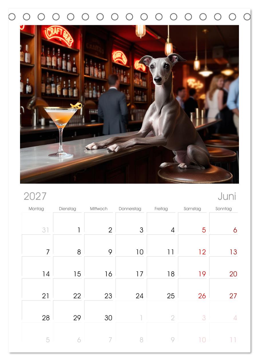 Funny Greyhounds - Windhunde mal anders