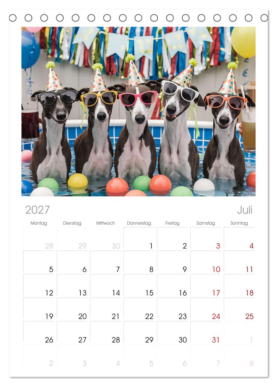 Funny Greyhounds - Windhunde mal anders