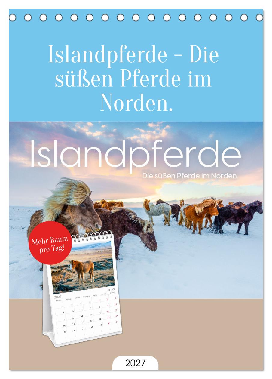 Islandpferde - Die süßen Pferde im Norden.