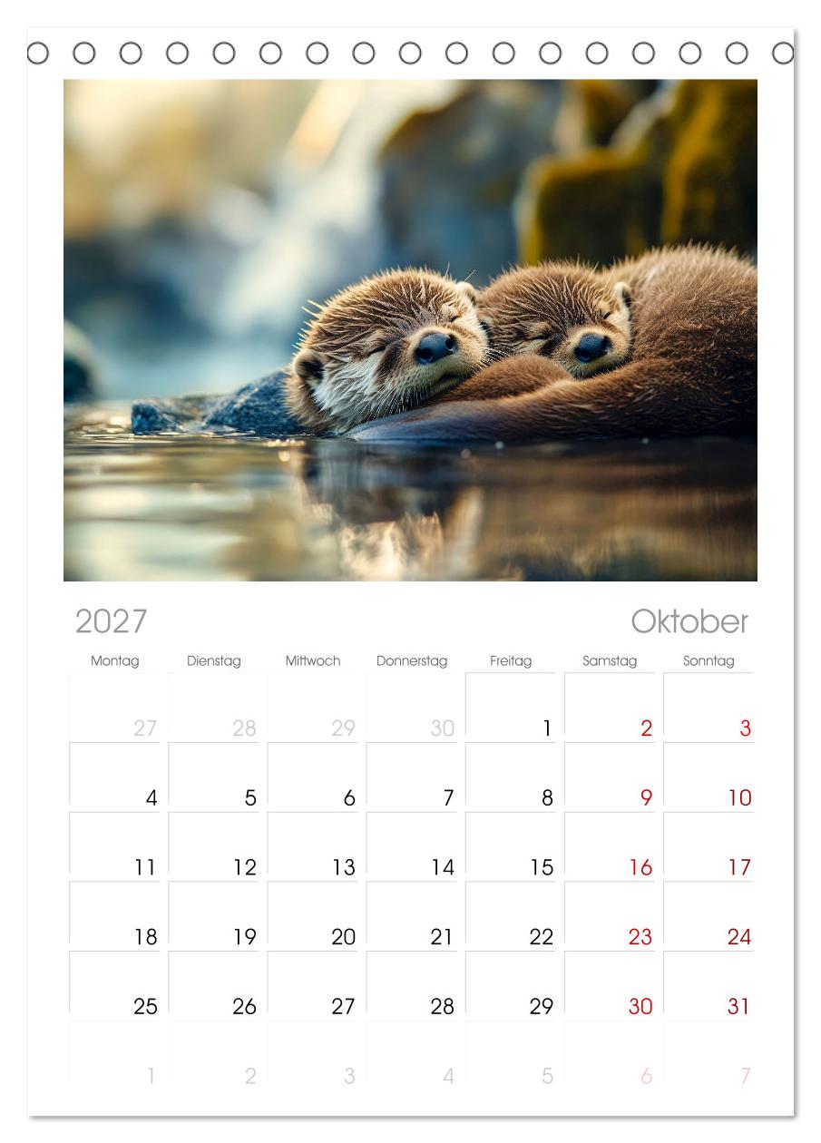 Wenn Tierchen träumen