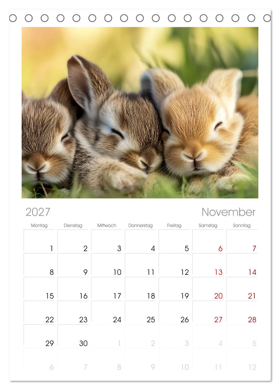 Wenn Tierchen träumen