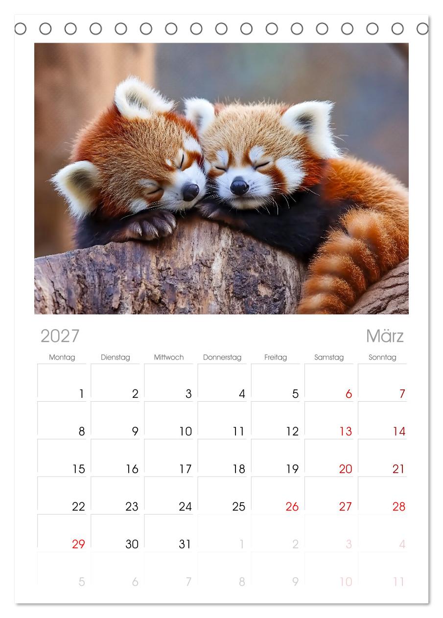Wenn Tierchen träumen