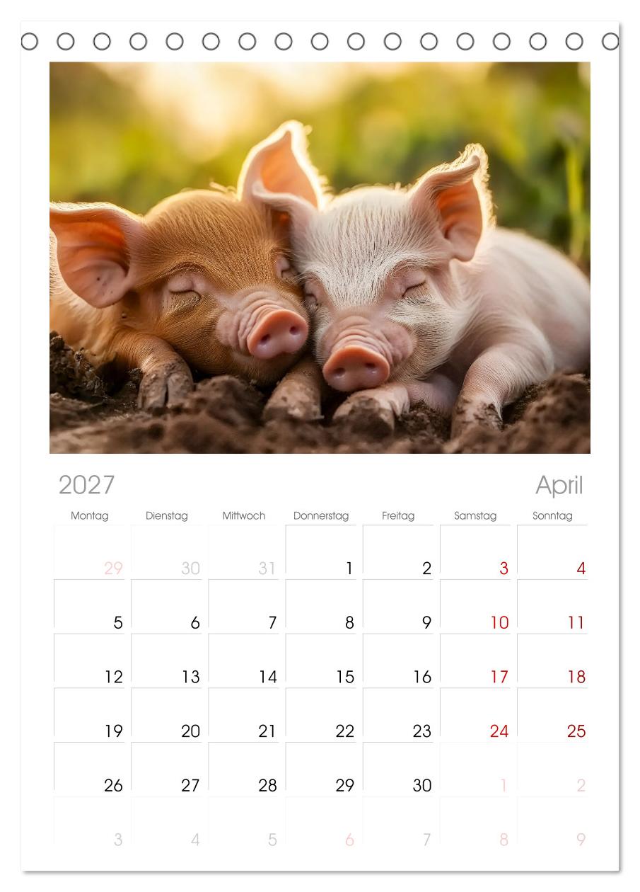 Wenn Tierchen träumen