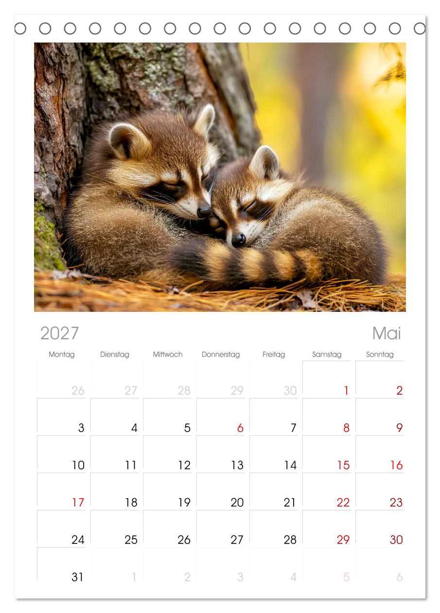 Wenn Tierchen träumen
