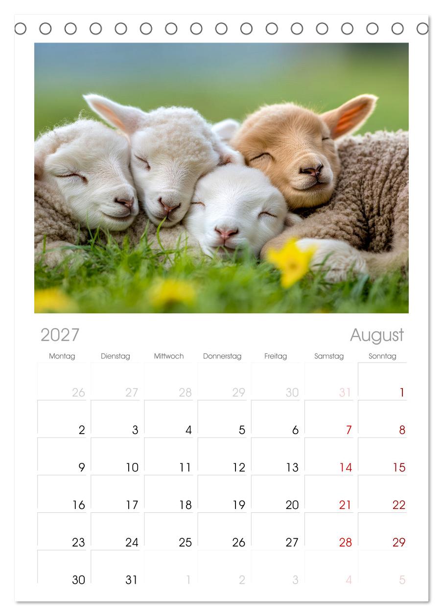 Wenn Tierchen träumen