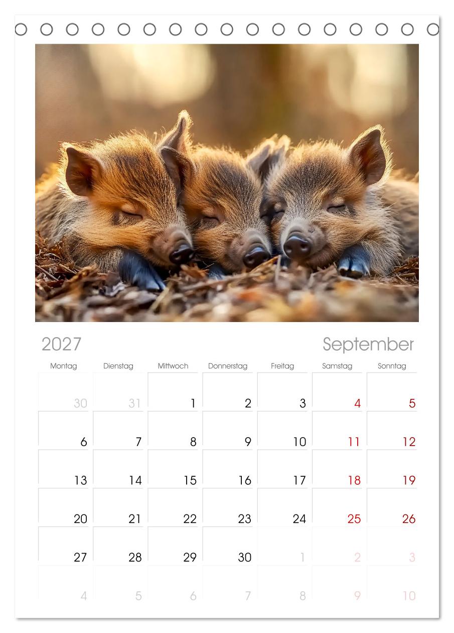 Wenn Tierchen träumen