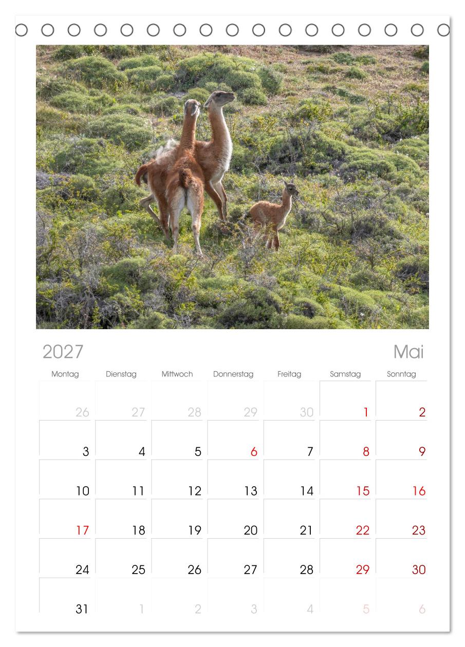 Wildlife Südamerika
