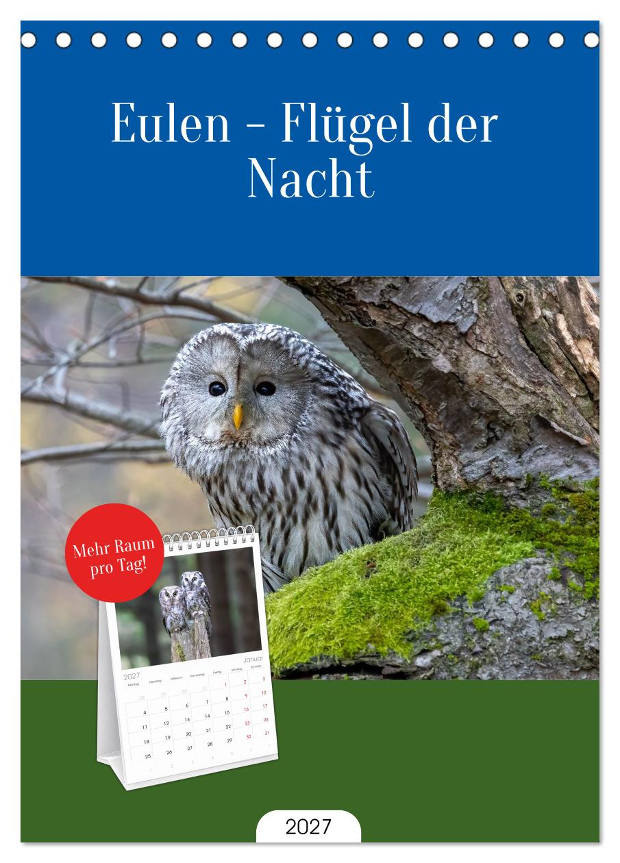 Eulen - Flügel der Nacht