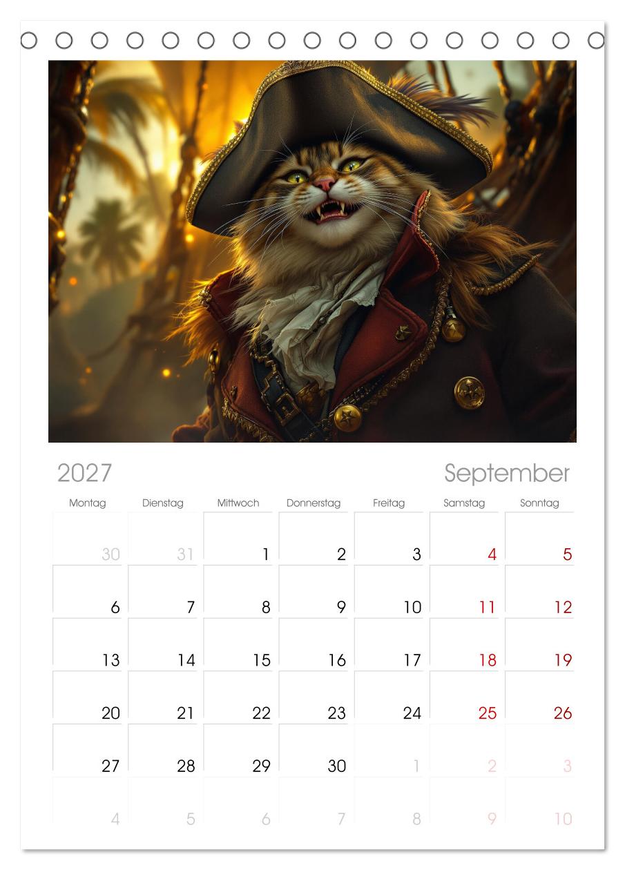 Piratenkatzen- Samtpfoten auf Kaperfahrt
