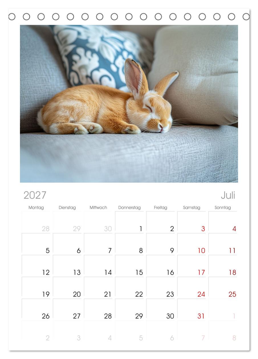 Kuschelige Sofa-Kaninchen