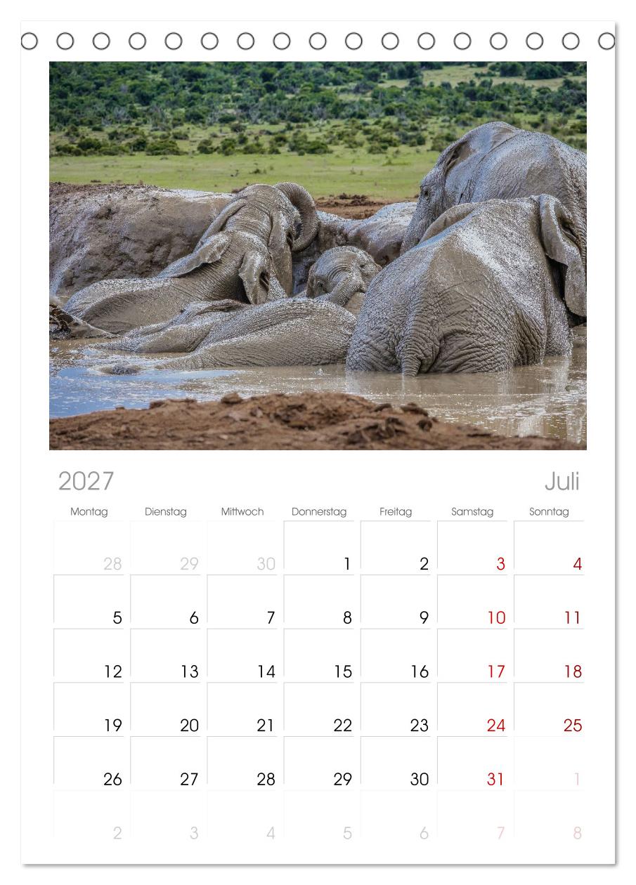 Elefanten Begegnungen im östlichen und südlichen Afrika