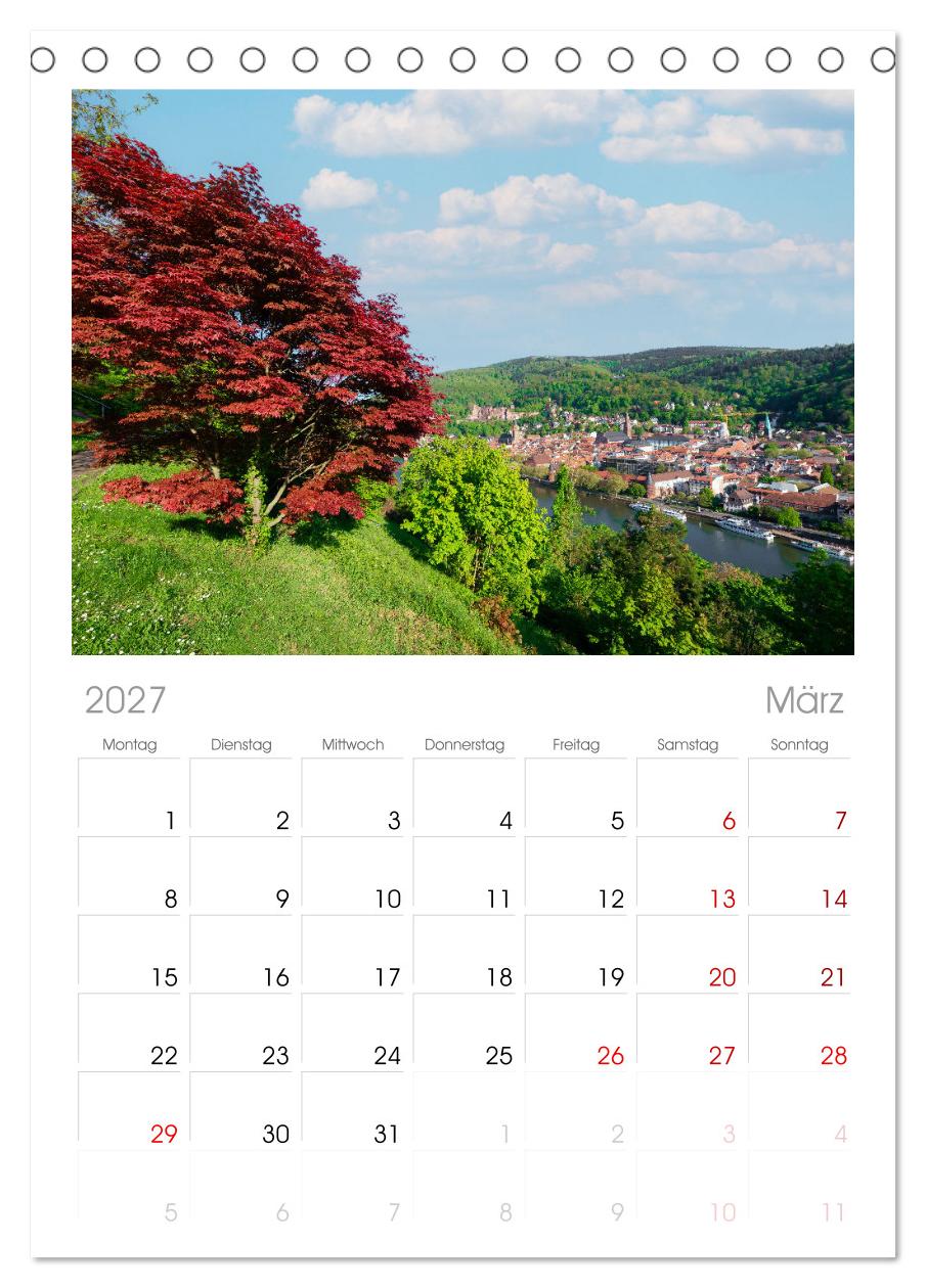 Heidelberg im Fokus