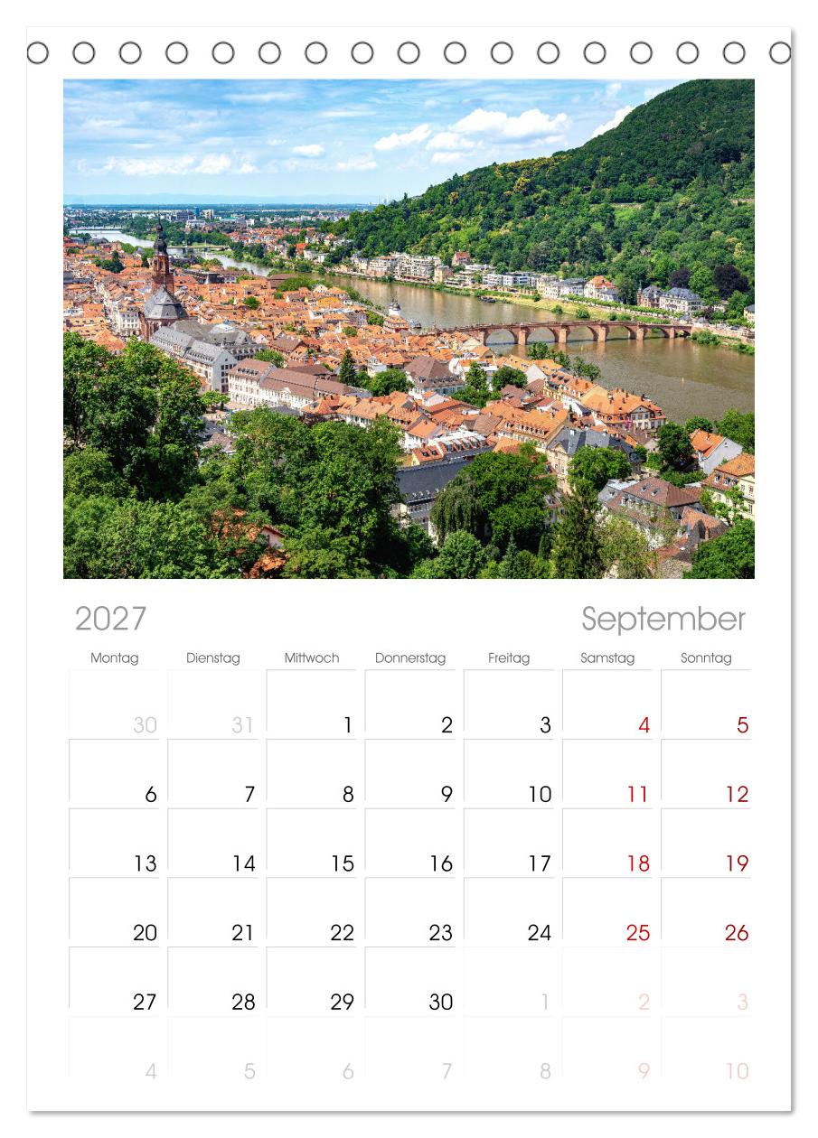 Heidelberg im Fokus