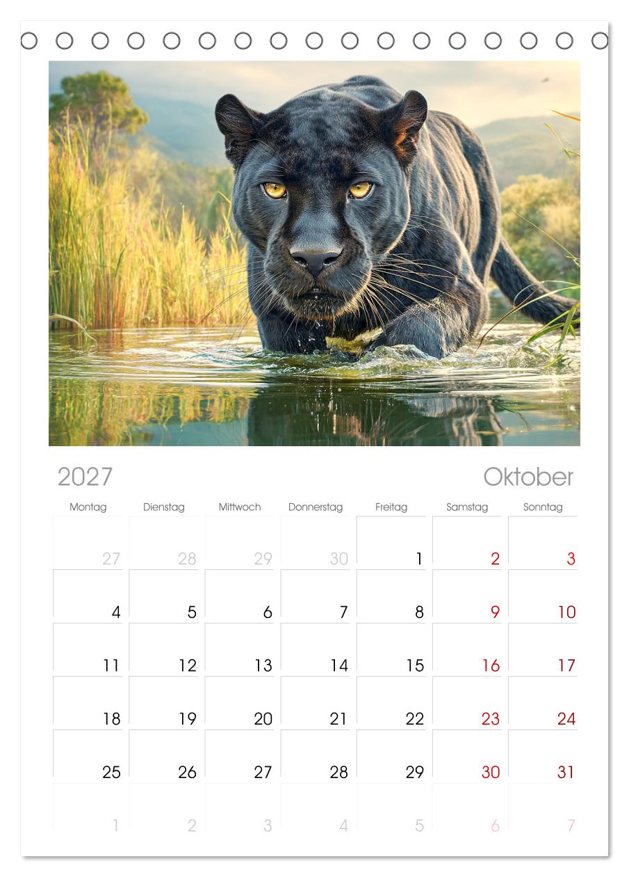 Schwarze Panther. Geheimnisvolle Schatten der Wildnis