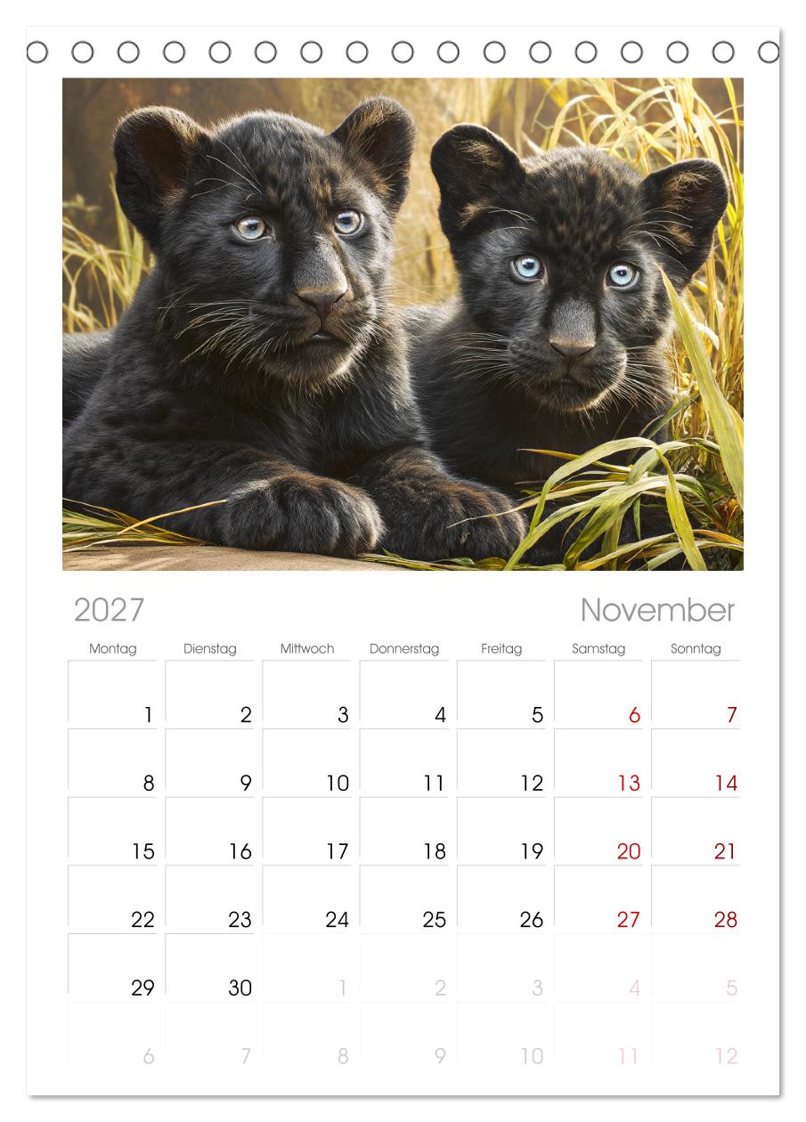 Schwarze Panther. Geheimnisvolle Schatten der Wildnis