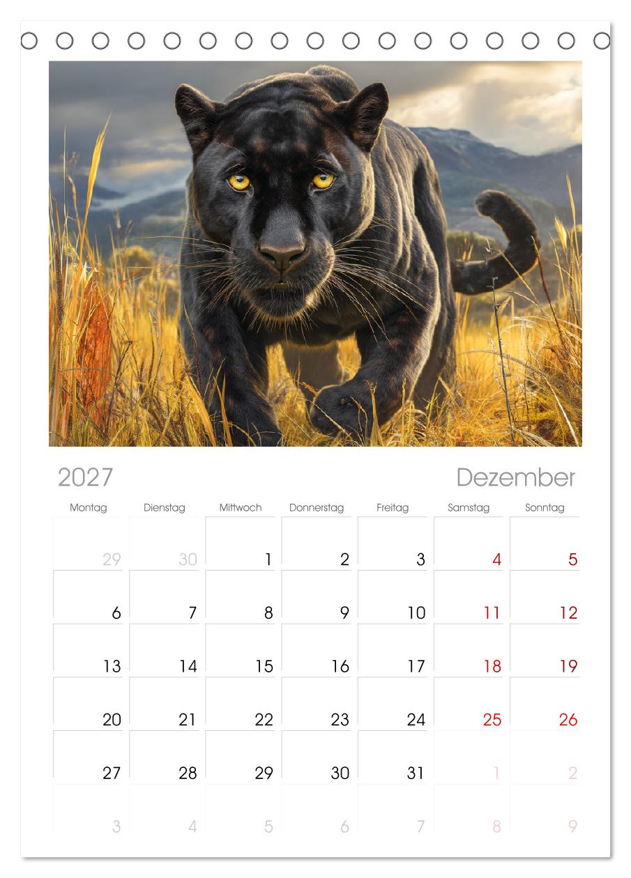 Schwarze Panther. Geheimnisvolle Schatten der Wildnis