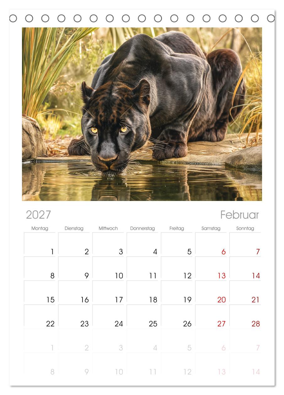 Schwarze Panther. Geheimnisvolle Schatten der Wildnis