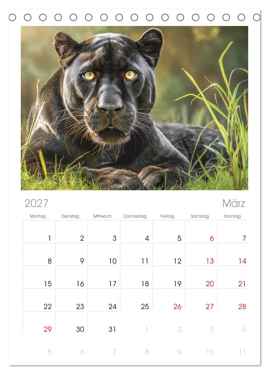 Schwarze Panther. Geheimnisvolle Schatten der Wildnis