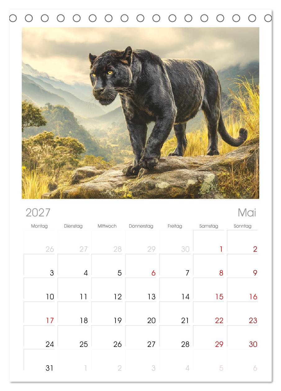 Schwarze Panther. Geheimnisvolle Schatten der Wildnis