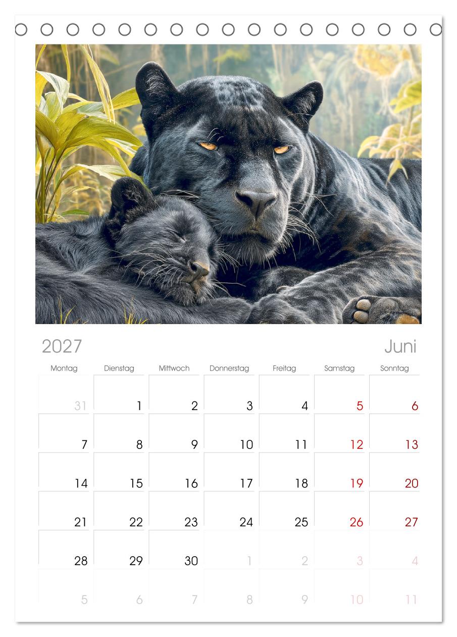 Schwarze Panther. Geheimnisvolle Schatten der Wildnis