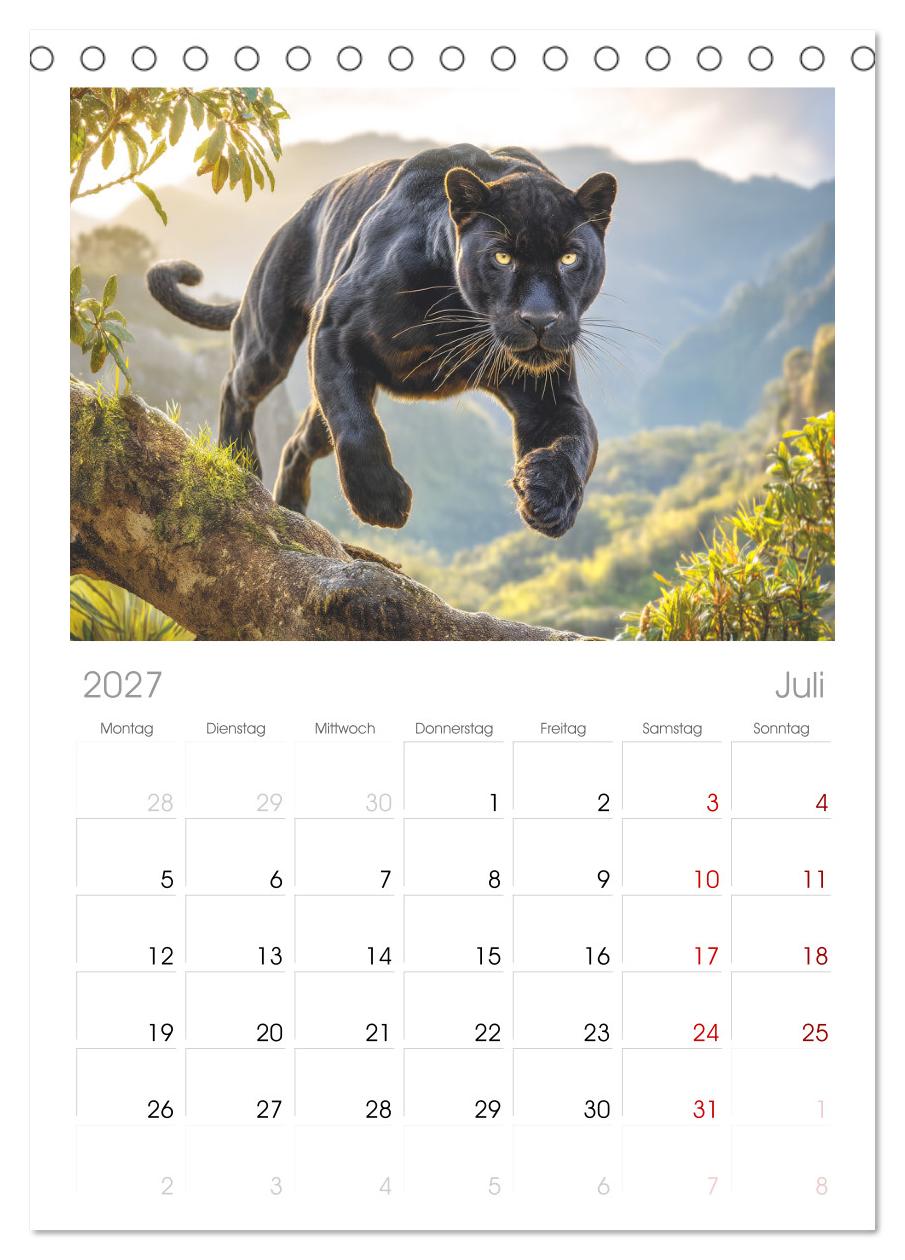 Schwarze Panther. Geheimnisvolle Schatten der Wildnis