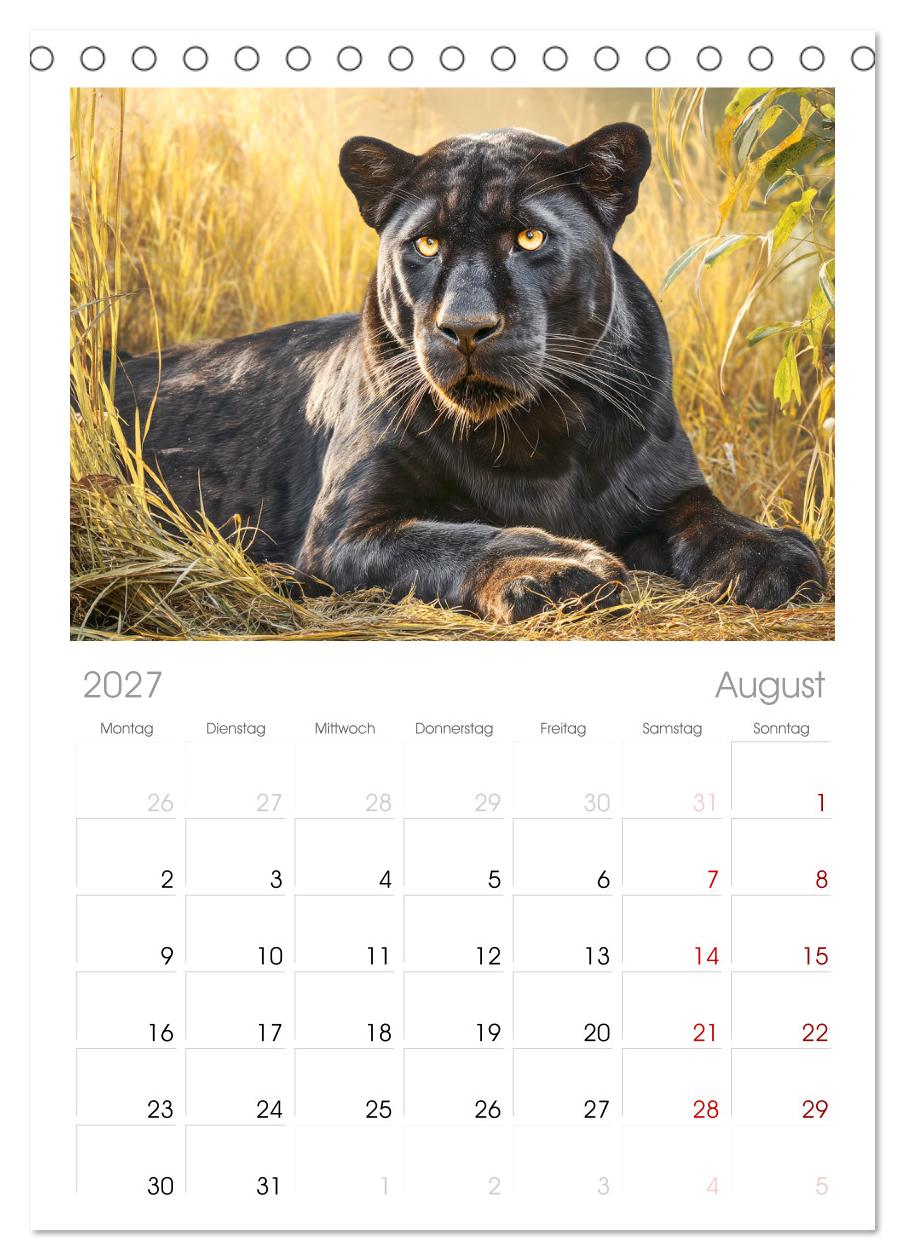 Schwarze Panther. Geheimnisvolle Schatten der Wildnis