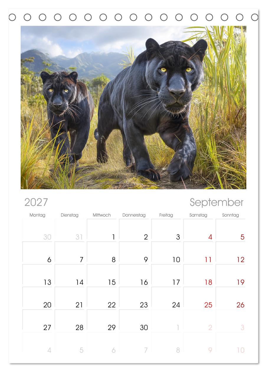 Schwarze Panther. Geheimnisvolle Schatten der Wildnis