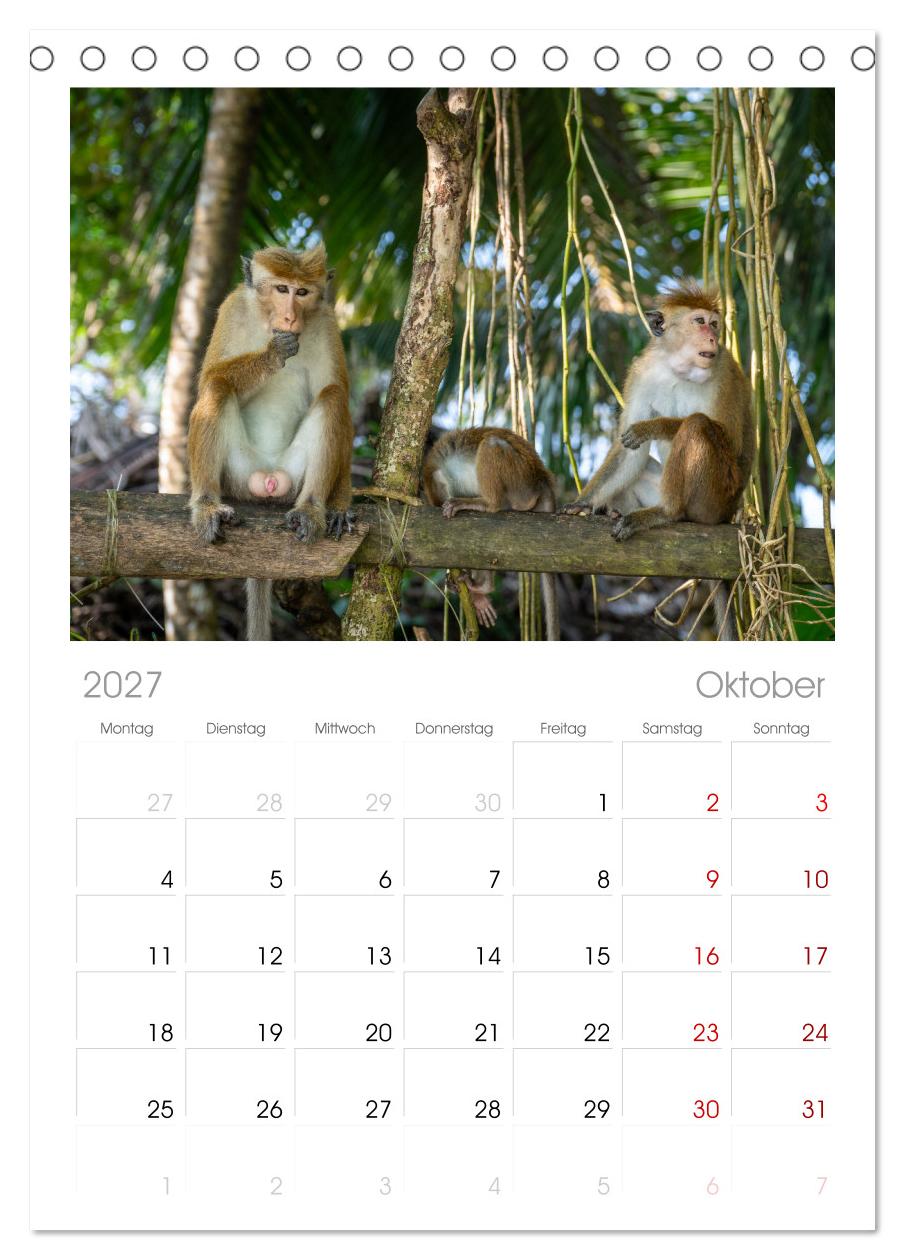 Urlaub in Sri Lanka - Reise durch Asien, Kultur und Natur