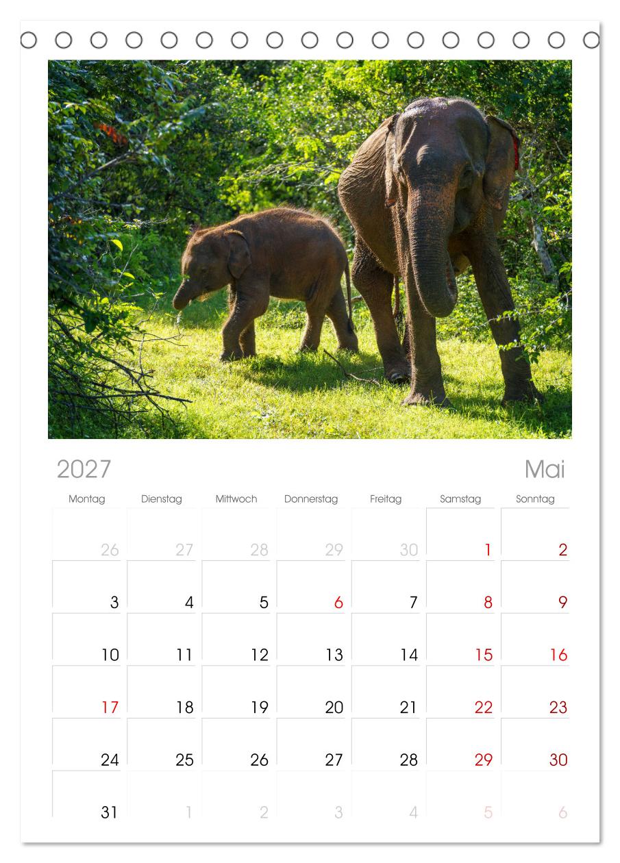 Urlaub in Sri Lanka - Reise durch Asien, Kultur und Natur