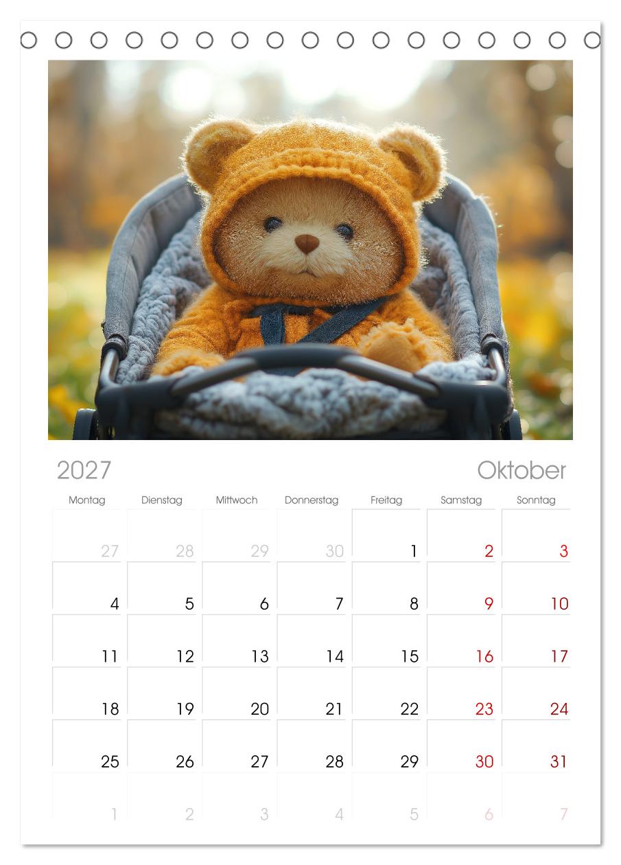 Teddy Babykalender - Jeden Monat zum Knuddeln süß