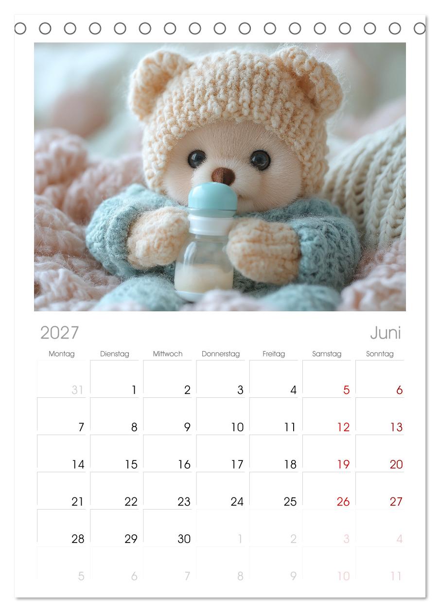 Teddy Babykalender - Jeden Monat zum Knuddeln süß