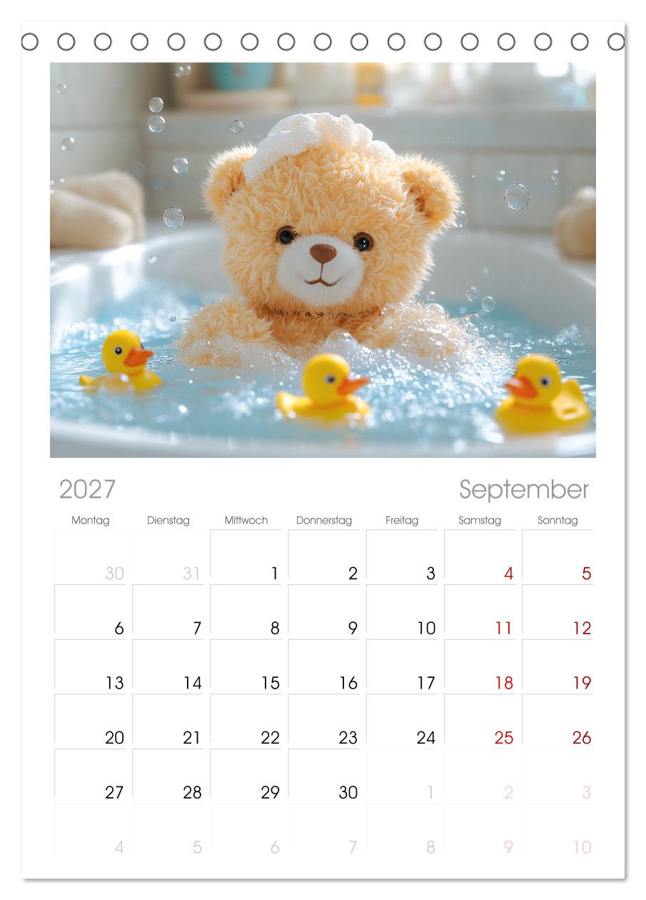 Teddy Babykalender - Jeden Monat zum Knuddeln süß