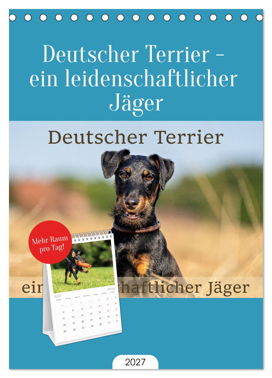 Deutscher Terrier - ein leidenschaftlicher Jäger