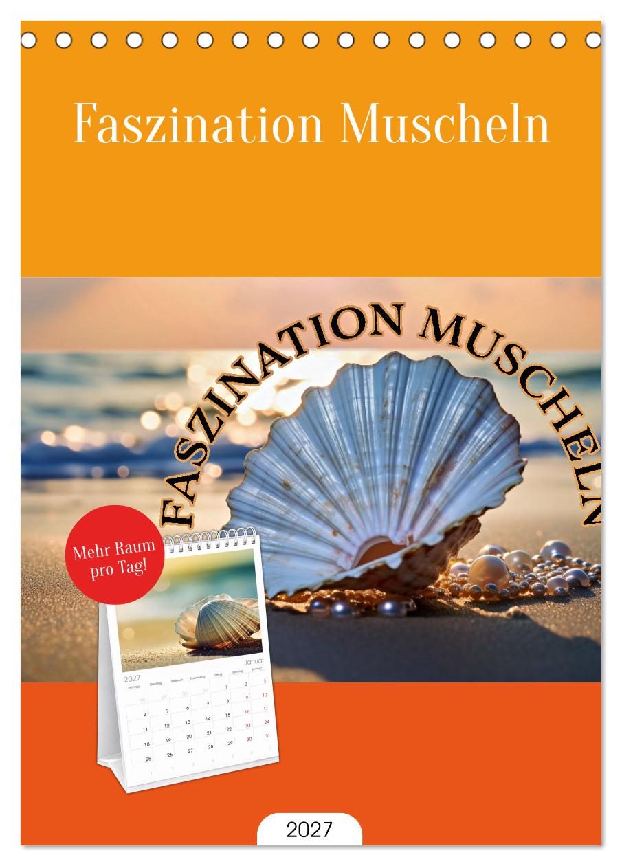 Faszination Muscheln
