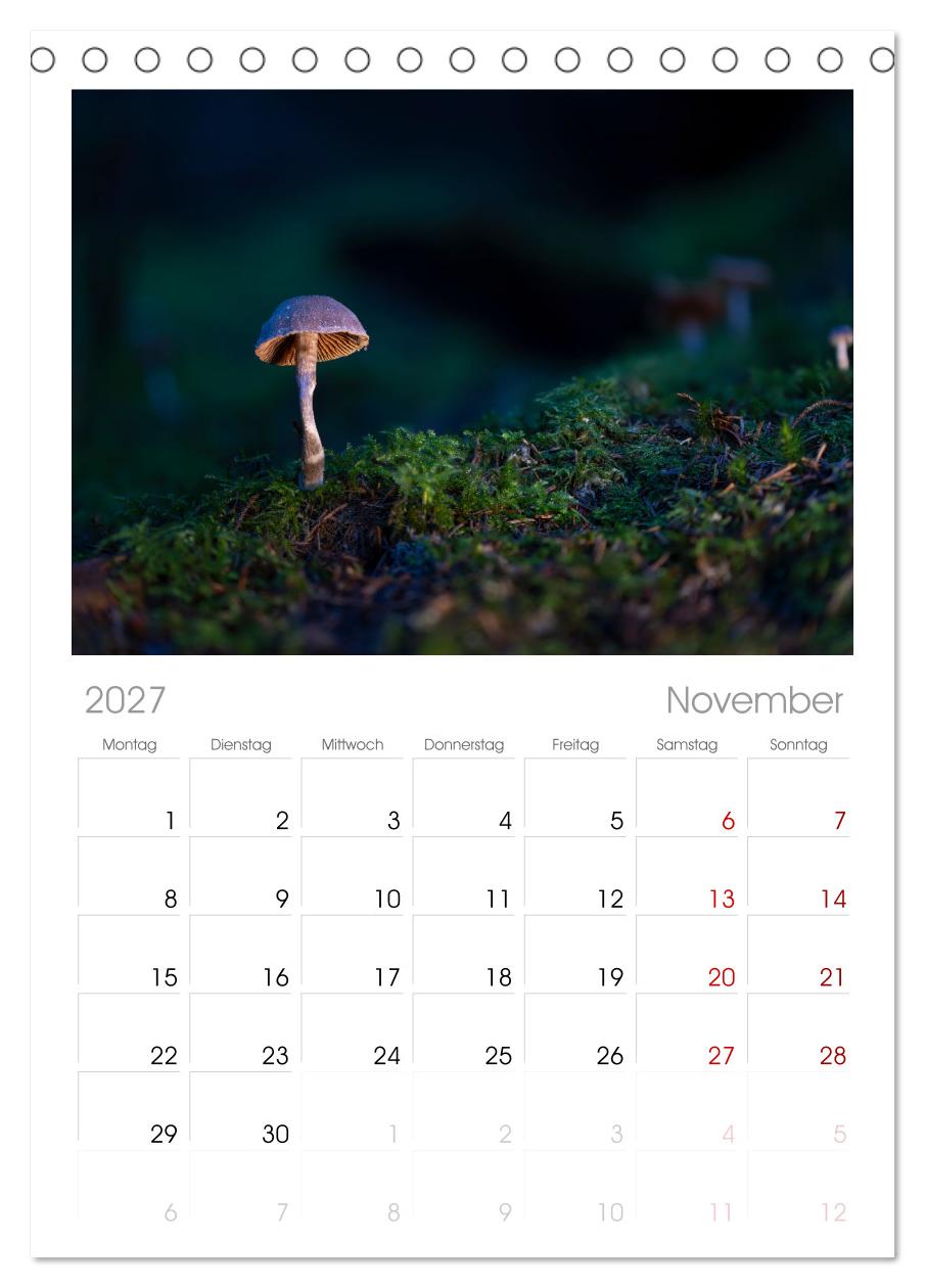 Wilde Pilze: Ein Kalender für Naturbegeisterte