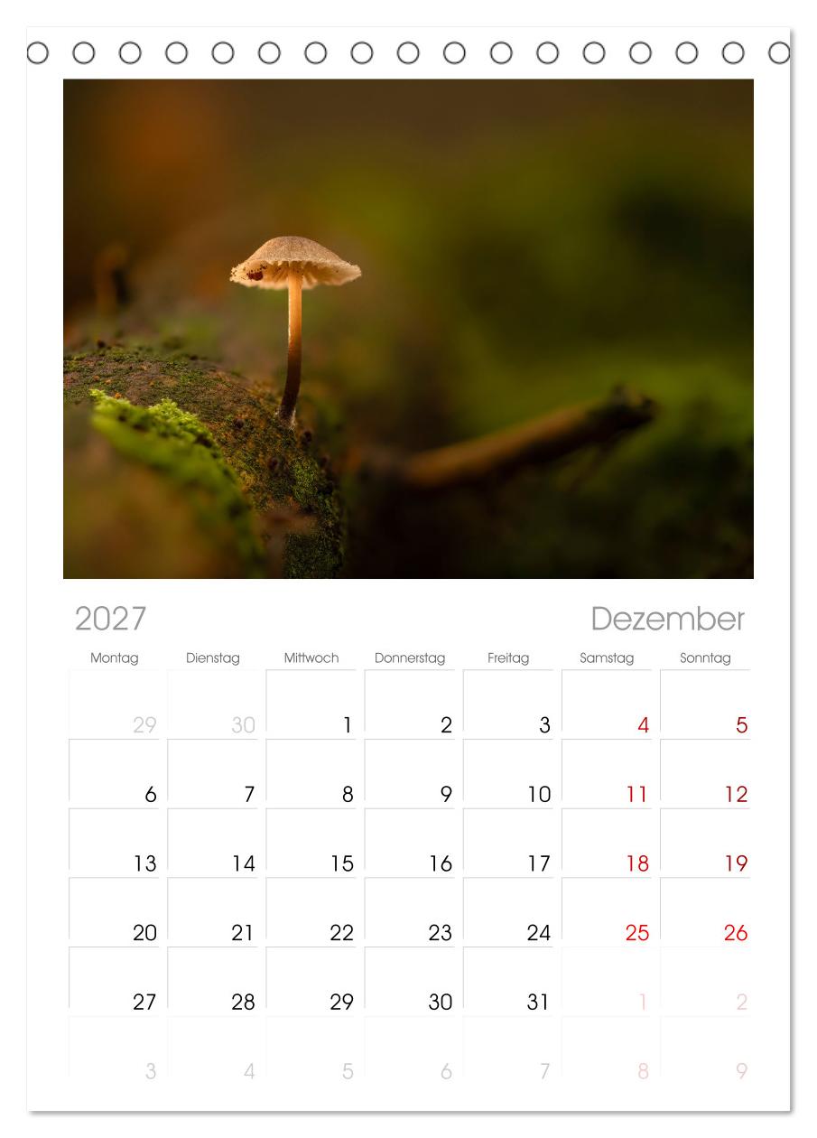 Wilde Pilze: Ein Kalender für Naturbegeisterte