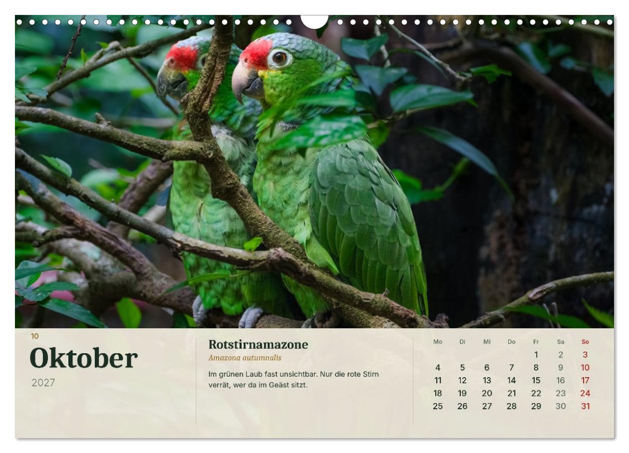 Tierbegegnungen in Costa Rica
