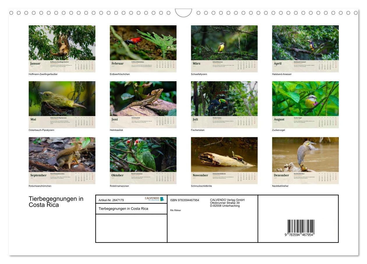 Tierbegegnungen in Costa Rica