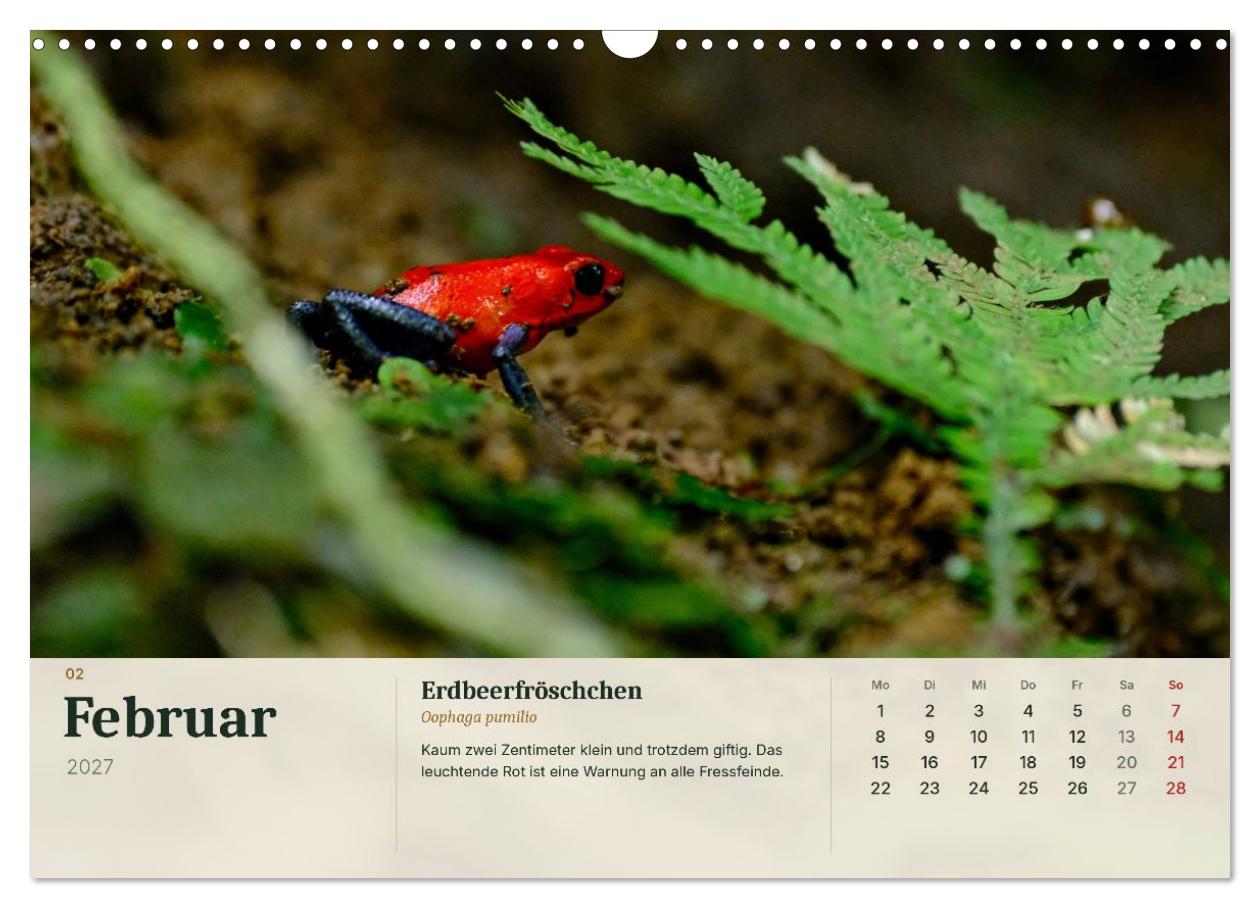 Tierbegegnungen in Costa Rica