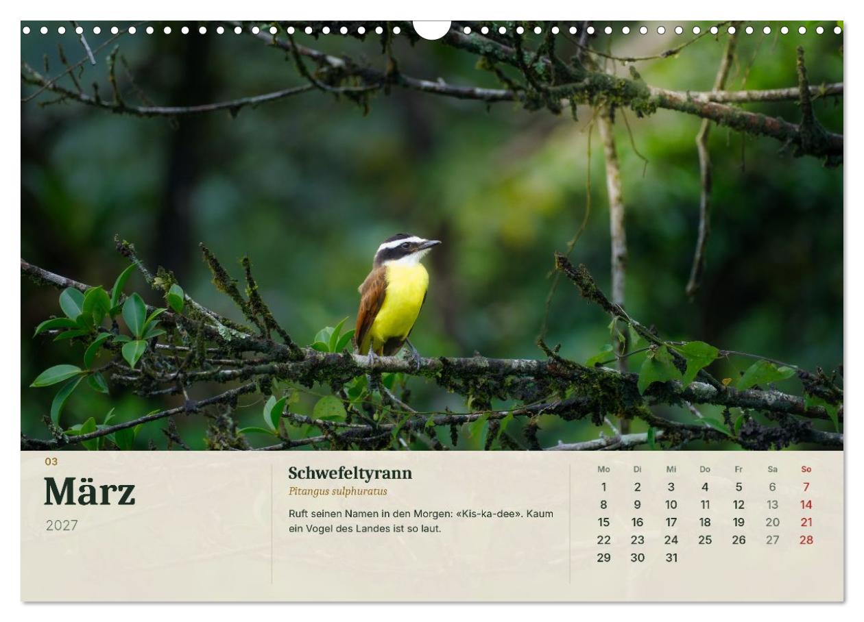 Tierbegegnungen in Costa Rica