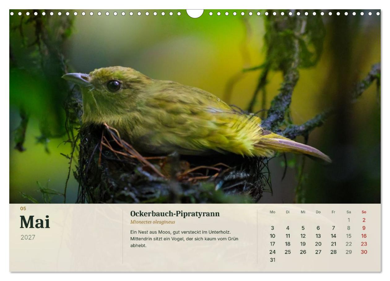 Tierbegegnungen in Costa Rica