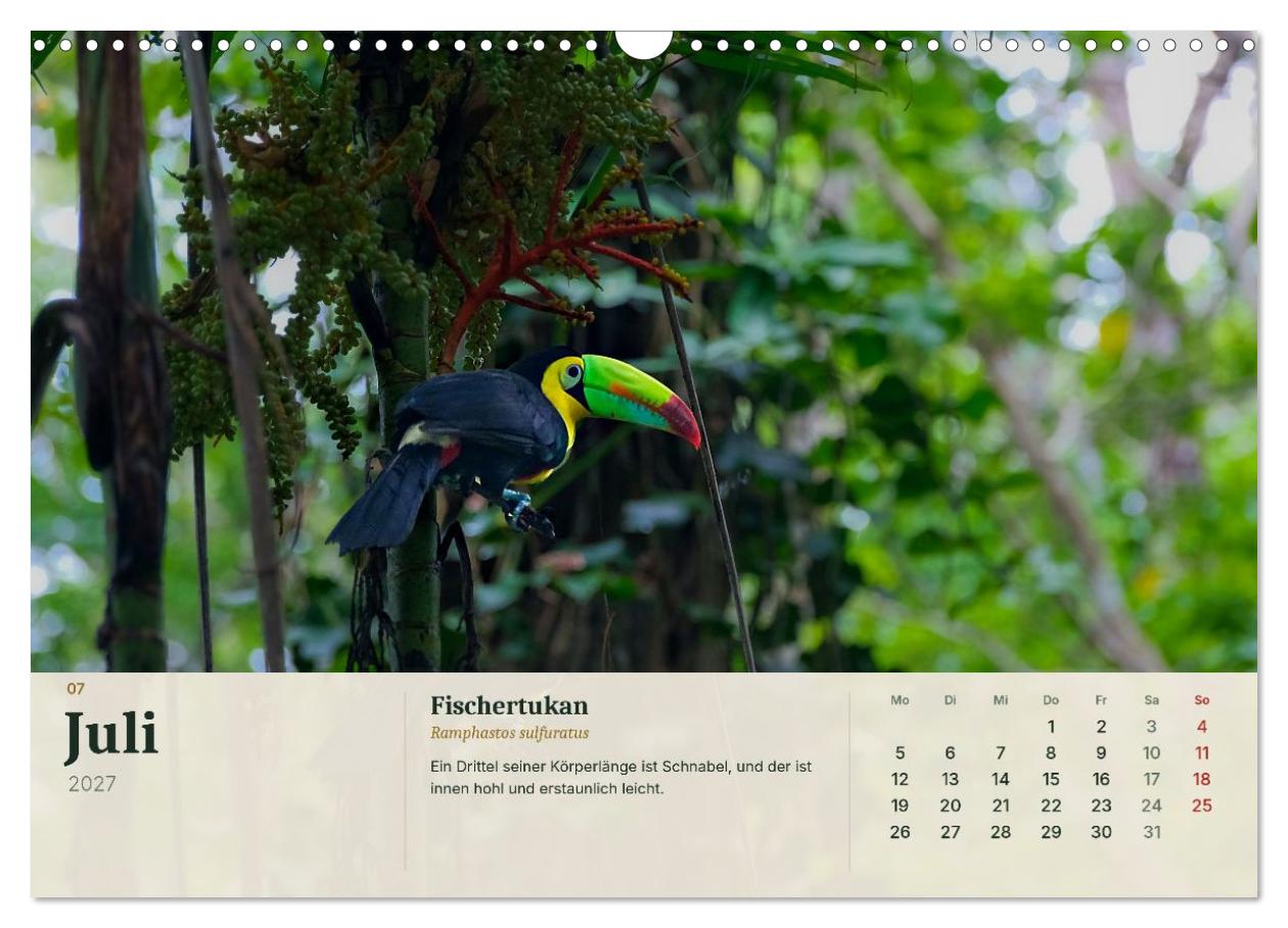 Tierbegegnungen in Costa Rica