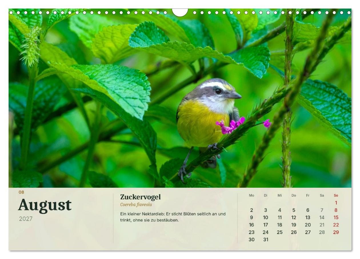 Tierbegegnungen in Costa Rica