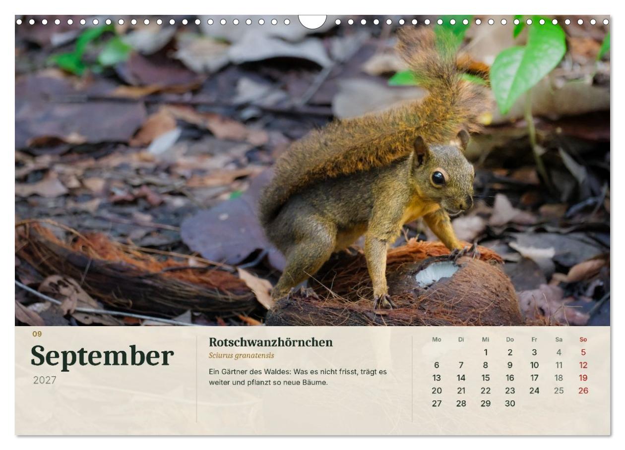 Tierbegegnungen in Costa Rica