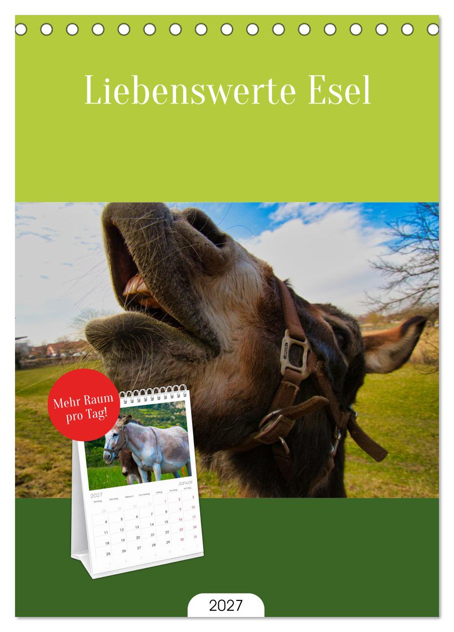 Liebenswerte Esel